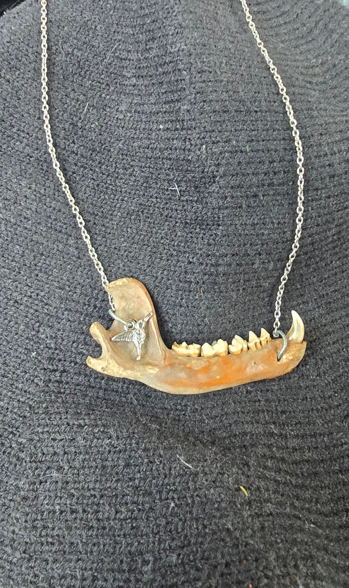 Opossum jaw necklace