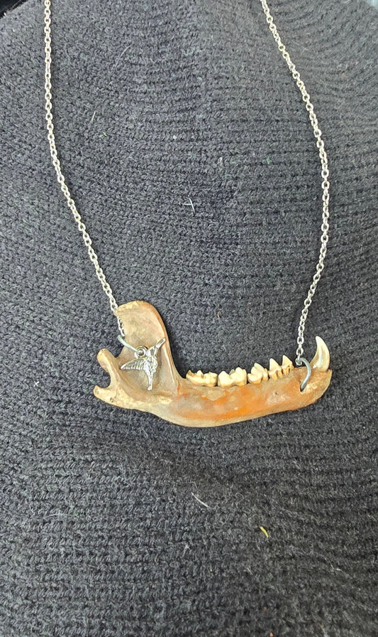 Opossum jaw necklace